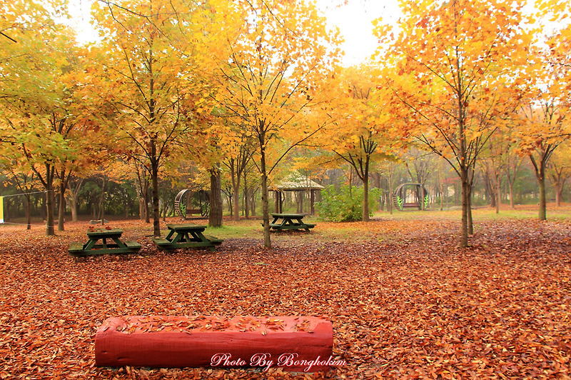인천대공원 마음이 포근해지는 가을날 풍경