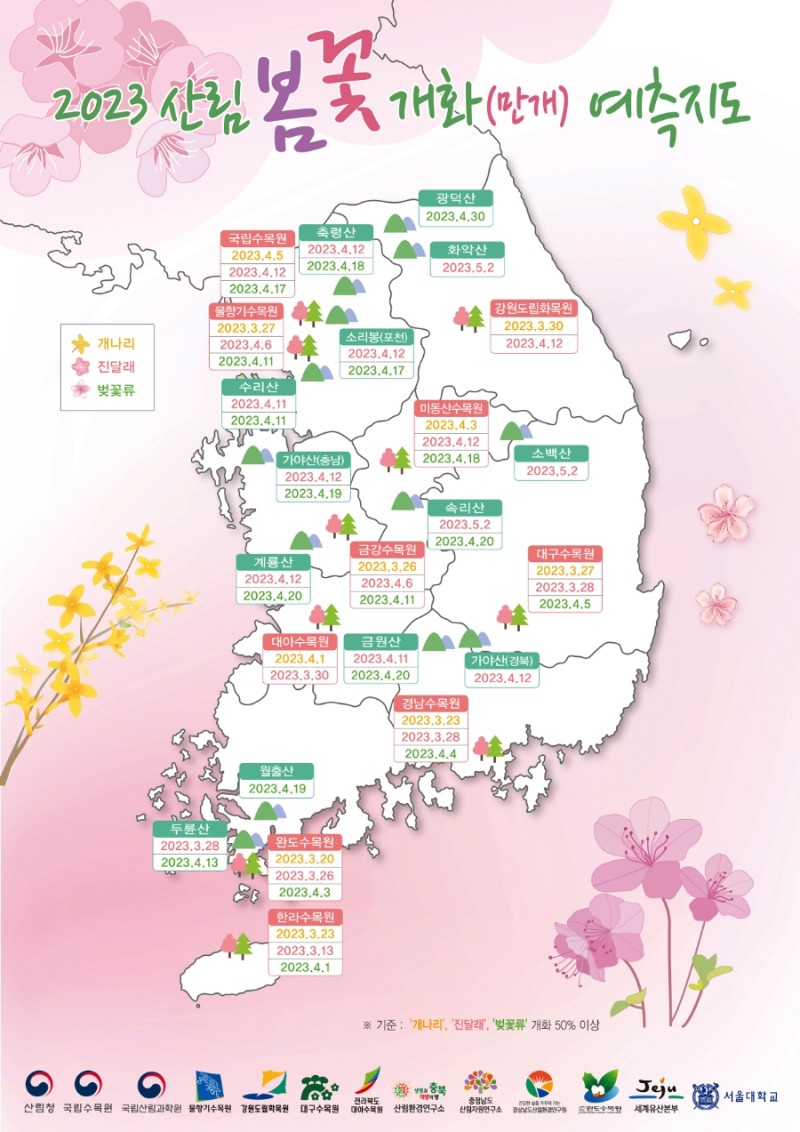 2023년 벚꽃 개화 및 전국의 대표적인 벚꽃 명소