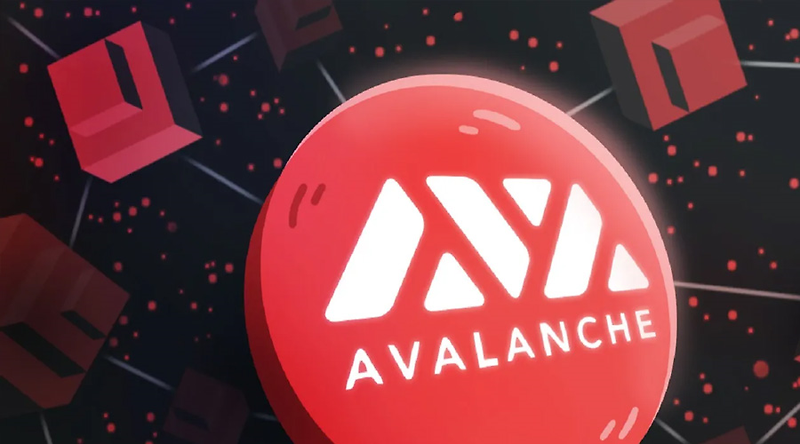 아발란체 스마트 컨트랙트 6개월 최고치 기록 AVAX 코인 가격 영향