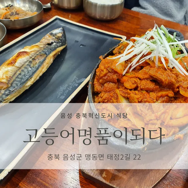 [음성 충북혁신도시 맛집] 고등어 명품이 되다_생선구이, 고추장불고기