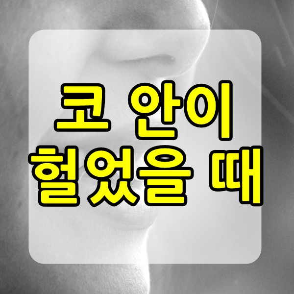 코안이 헐었을때 꼭 기억할 것