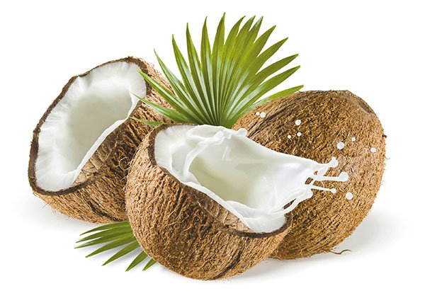 코코넛오일 효능 사용법 및 보관법