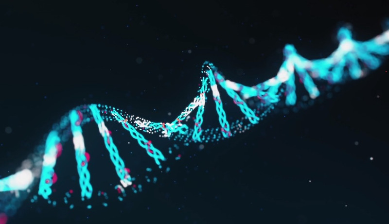 DNA&RNA ; 생명의 복제와 전달.유전정보,정보전달,노화방지,텔로미어,텔로머레이스,생명의복제와전달,리보핵산,텔로미어DNA,염색체.