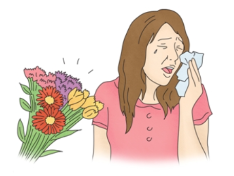 꽃가루 알레르기 증상/원인/치료