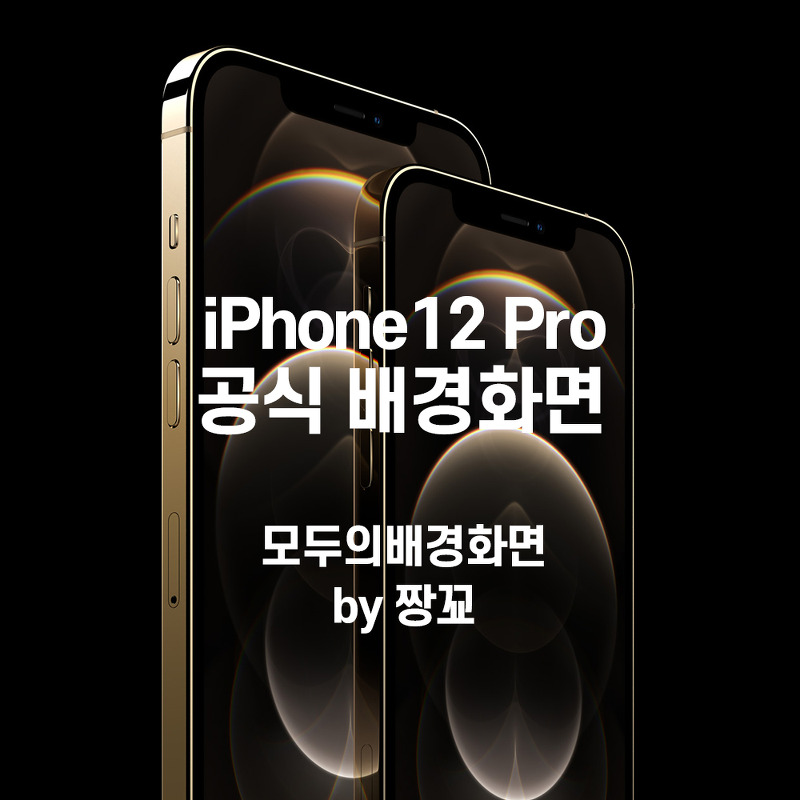 [모두의배경화면] iPhone12Pro(아이폰12프로)와 iPhone12Pro Max(아이폰12프로맥스)의 공식 배경화면 무료 다운로드 by 짱꾜(JJANGGYO)