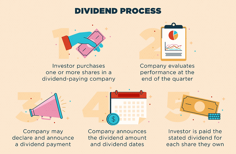 주식 용어 Dividend Yield 와 Dividend