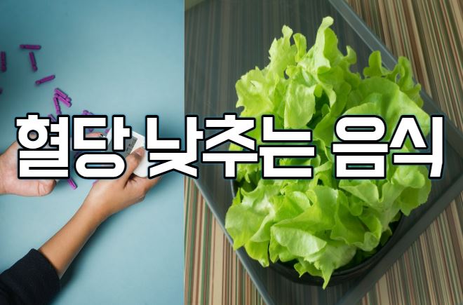 혈당 낮추는 음식(feat.당뇨)
