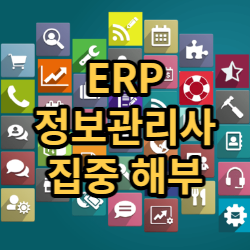 집중 해부 ERP 정보 관리사 4과목 ERP 실무 자격증
