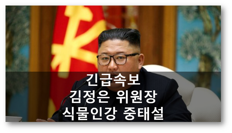 [뉴스속보]김정은 식물인간 상태 중태설