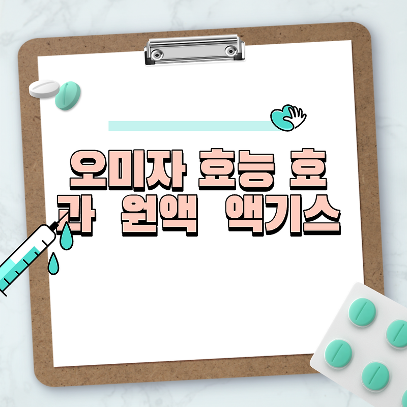 오미자 효능 효과  원액  액기스