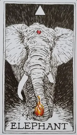 [오라클카드배우기] The wild unknown animal spirit 와일드 언노운 애니멀 스피릿 Elephant 코끼리 해석 및 의미