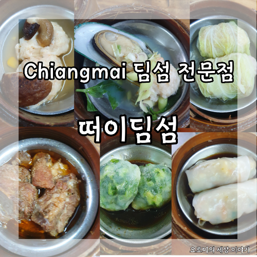 치앙마이 딤섬 전문점 떠이딤섬 chiangmai 만두집