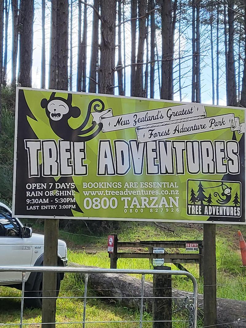 오클랜드 근교 당일 가족여행 New Zealand Trip : Tree Adventure(트리어드벤쳐)