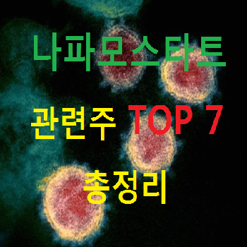 나파모스타트 관련주 대장주 TOP 7 총정리