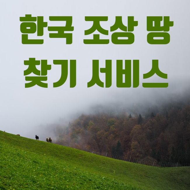 한국 조상땅 찾기 서비스 조회 및 이용방법