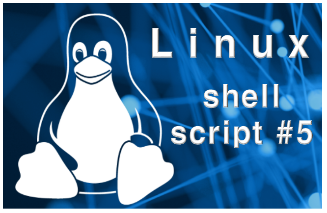 [shell script] 쉘 스크립트 기초 #5  - 조건문 if문 옵션 사용법 및 총정리