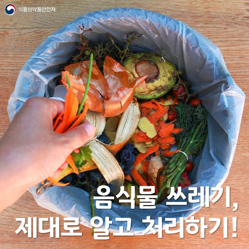 [쓰레기] 일반 vs 음식물 구분 방법