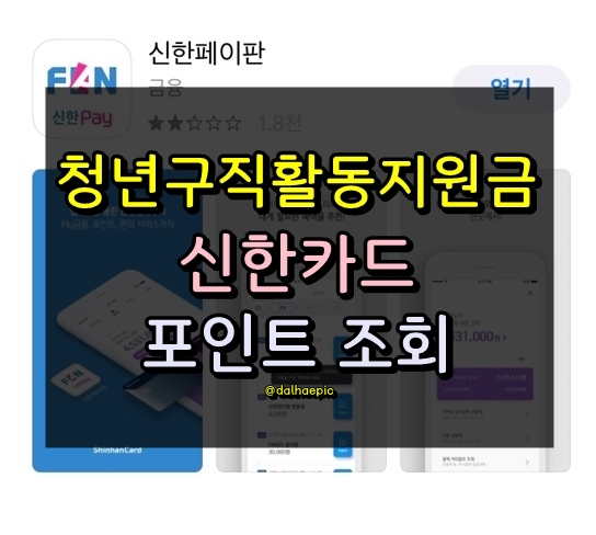 [청년구직활동지원금 후기] 신한카드 신한페이 포인트 조회<3단계>