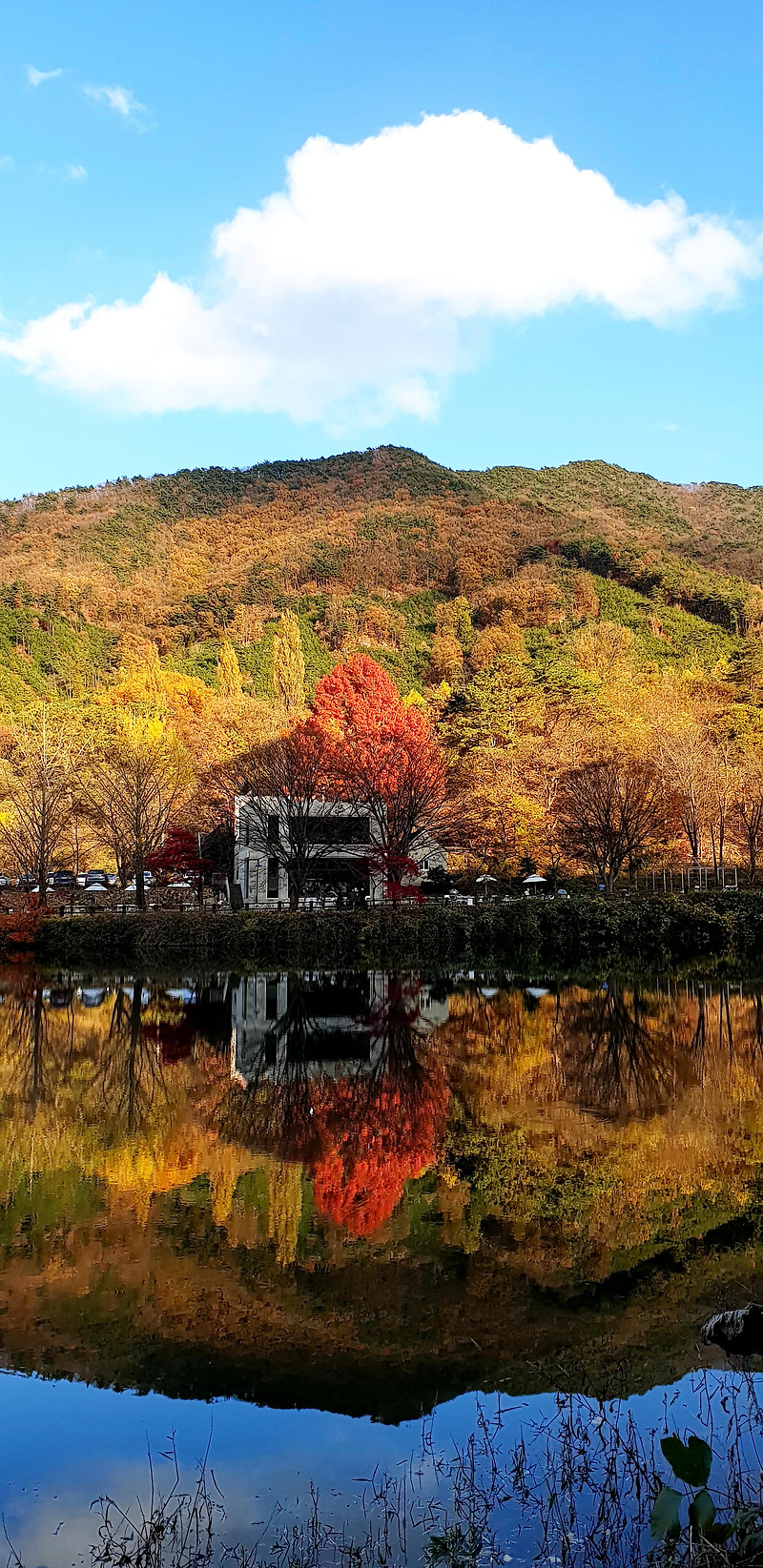 공주 송곡저수지 엔학고레카페 아름다운 가을날 풍경