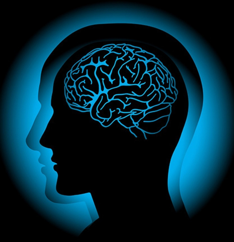 뇌전증의 원인과 치료법