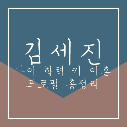 김세진 진혜지 인스타 나이 학력 키 이혼 전부인 구나연 프로필 총정리