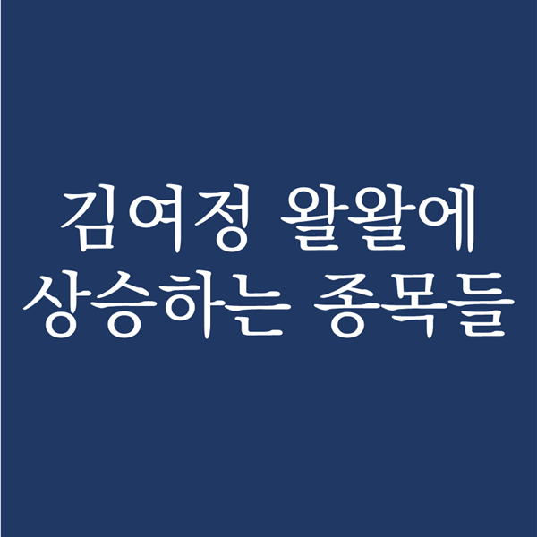 북한 김여정이 올려주고 있는 방산 테마주 종목들 - 빅텍 스페코 퍼스텍