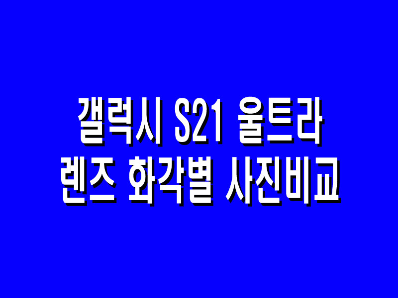 삼성 갤럭시 S21 울트라 렌즈 화각별 사진 비교 (feat. To Go 서비스)