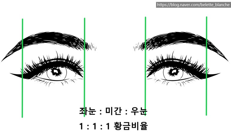 눈관상 눈모양관상 - 쌍꺼풀수술 성형관상 짝눈 눈꼬리 미간 좋은눈 나쁜눈
