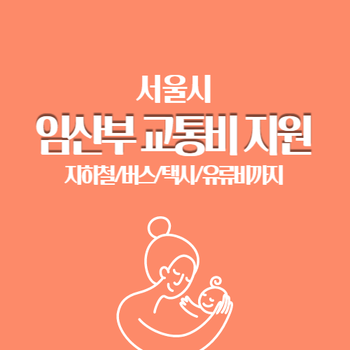 임산부 교통비 70만원 지원, 버스/택시/유류비까지