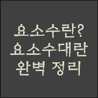 요소수란? 요소수 대란 알기 쉽게 완벽 정리