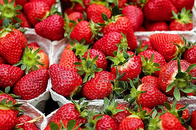 ‘딸기’, 얼마나 먹어야 파킨슨병에 효과 있을까?