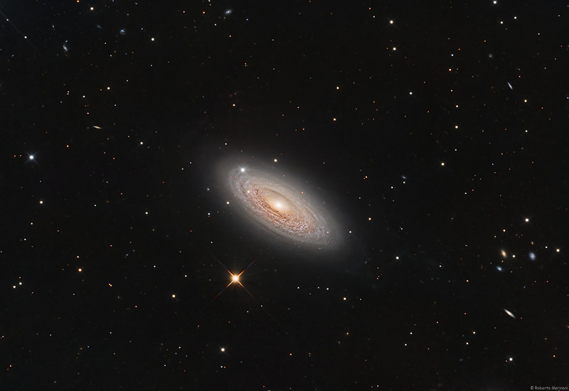 [NASA 오늘의 사진] Spiral Galaxy NGC 2841