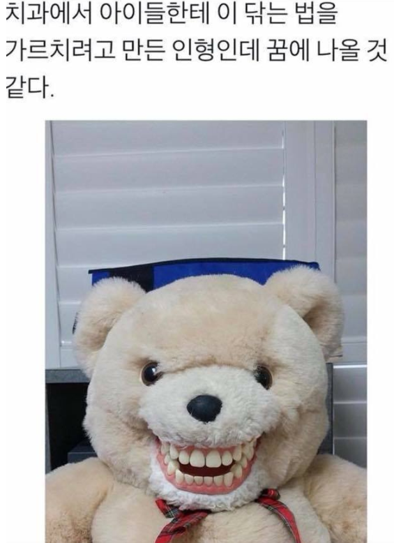 치과에 있는 양치 교육용 곰인형