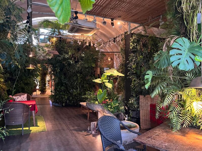 [국내 여행] 용인시 맛집 - 자연과 함께하는 감성 카페 '식물원K'를 소개해 드립니다. (에버랜드 근처 데이트 코스)