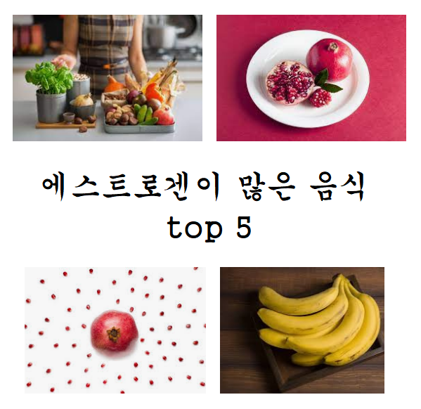 에스트로겐이 많은 음식 맛있게!