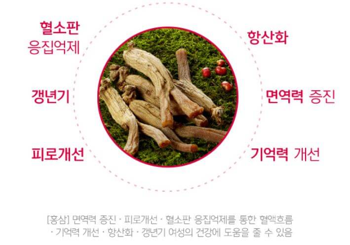 홍삼 효능 부작용 및 정관장 화애락진 홍삼 제품 설명 추천