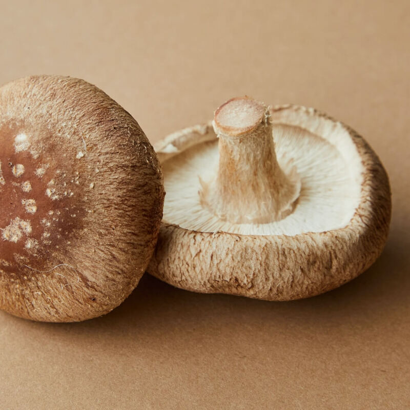 버섯이 면역력, 두뇌, 심장 건강 효능에 놀라운 이유