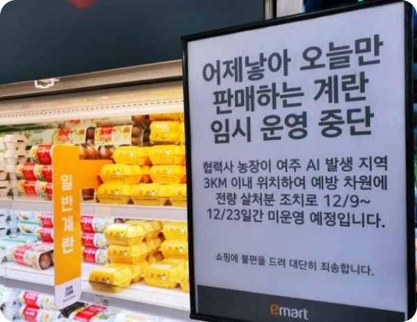 달걀 판매 중단 공지 붙은 마트, 계란 가격 폭등할까?(feat.조류인플루엔자 관련주 정보)