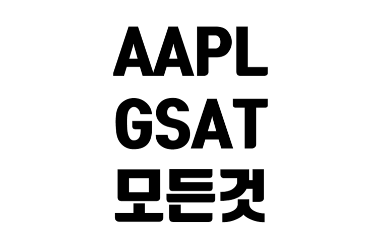 AAPL 아이폰 응급통화 서비스하는 GSAT의 모든 것