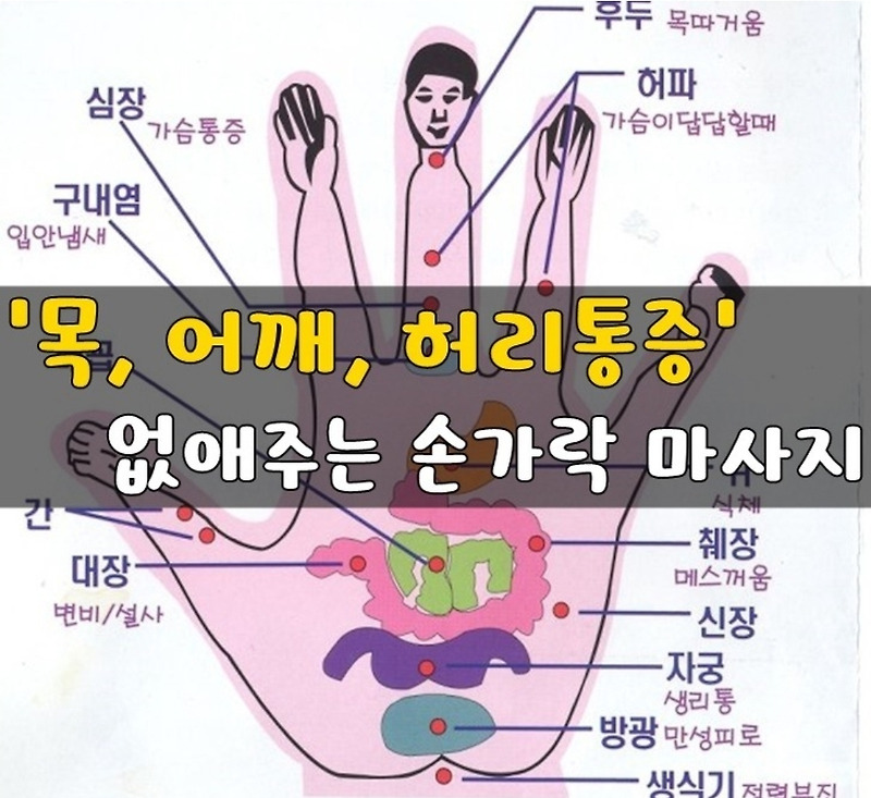 건강]목, 어깨, 허리통증 간단히 없애주는 손가락 마사지