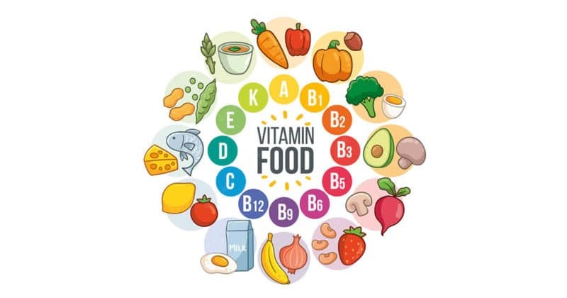 영양제 브랜드에 대한 분석 글
