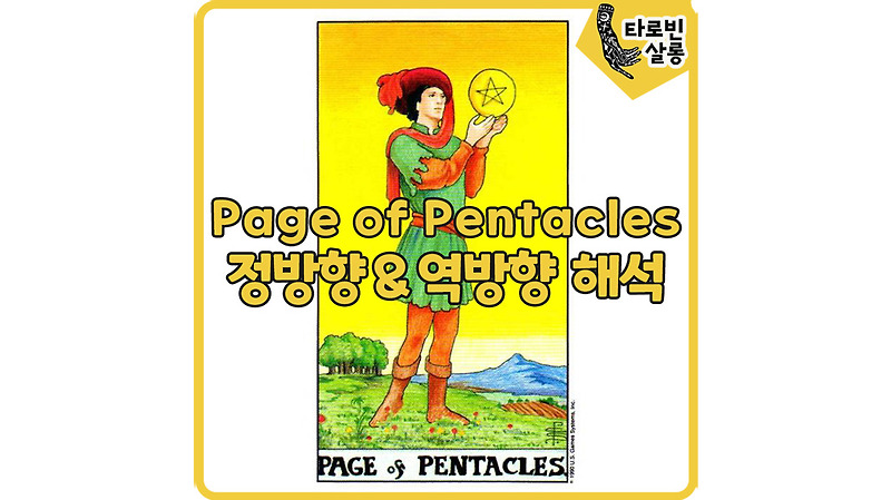[웨이트 타로 해석] Page of Pentacles 페이지 펜타클 타로 카드 정방향 & 역방향 해석