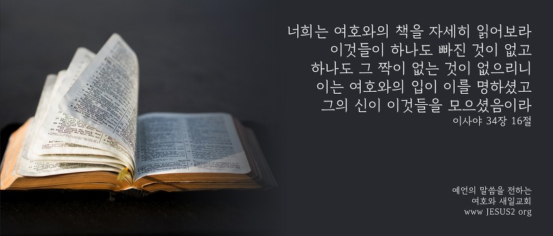 새일교회 조직신학 | 구속론 - 3. 율법시대