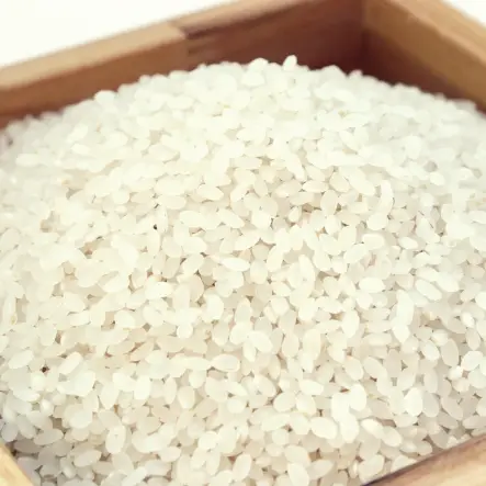 쌀을 쌀 항아리 쌀독에 보관하는 방법