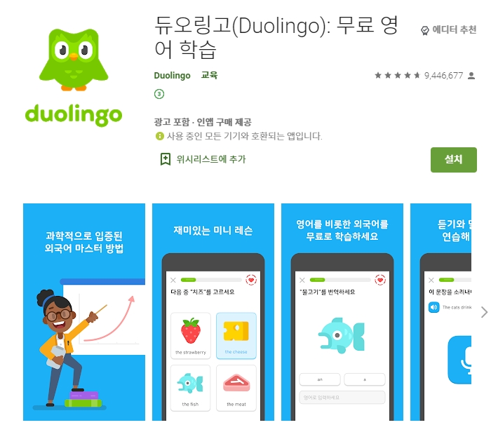 무료 외국어 학습 어플 /영어 독학 듀오링고 앱