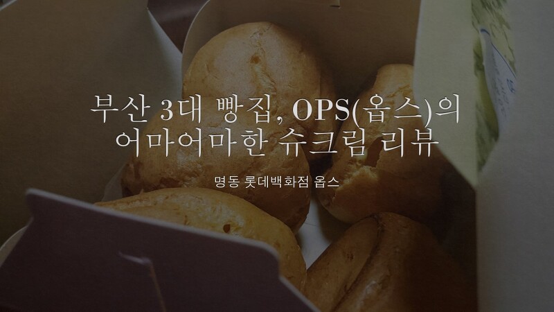 부산 3대 빵집, OPS(옵스)의 어마어마한 슈크림을 서울에서 먹는 방법 후기, 명동 롯데백화점 리뷰, 슈크림 가격 등등