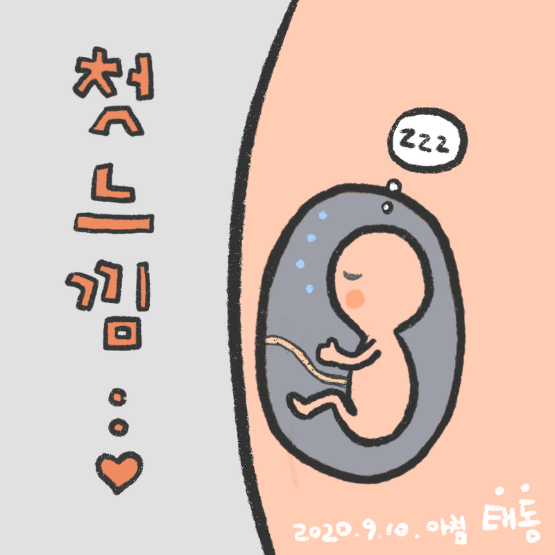 [임신일기] 임신 17주 - 태동을 느끼다