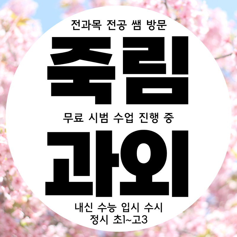 여수 죽림 초등 수학과외 여천동 초등학생 영어과외 초등부 전과목과외 국어