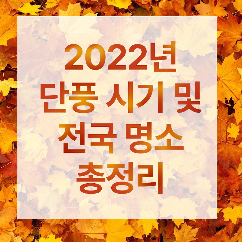 2022년 단풍시기 절정 및 단풍 명소 총정리