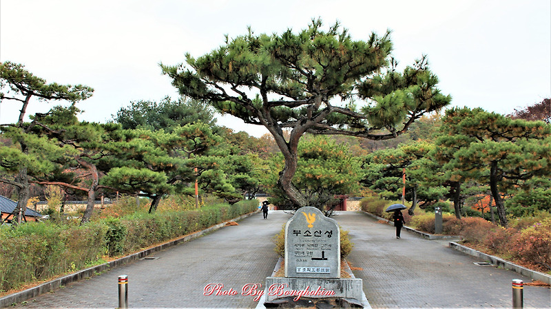 부소산성 가을단풍의 명소 낙화암 가는길